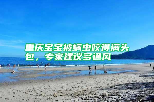 重慶寶寶被螨蟲咬得滿頭包，專家建議多通風(fēng)