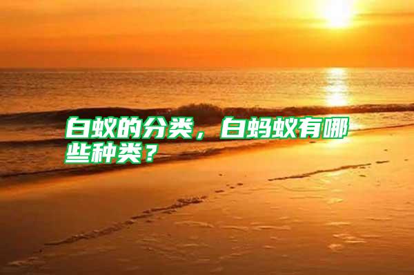 白蟻的分類，白螞蟻有哪些種類？