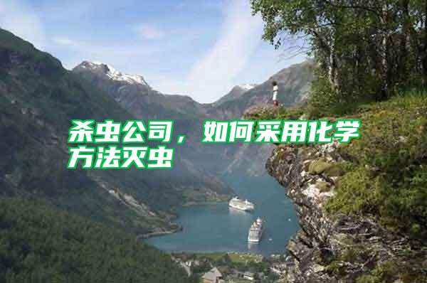 殺蟲(chóng)公司，如何采用化學(xué)方法滅蟲(chóng)