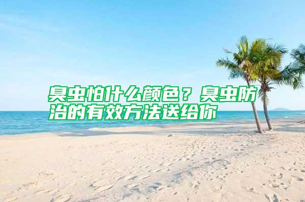 臭蟲(chóng)怕什么顏色?臭蟲(chóng)防治的有效方法送給你
