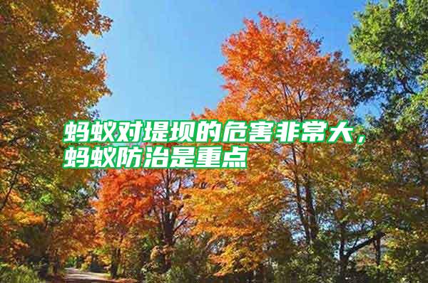 螞蟻對(duì)堤壩的危害非常大，螞蟻防治是重點(diǎn)