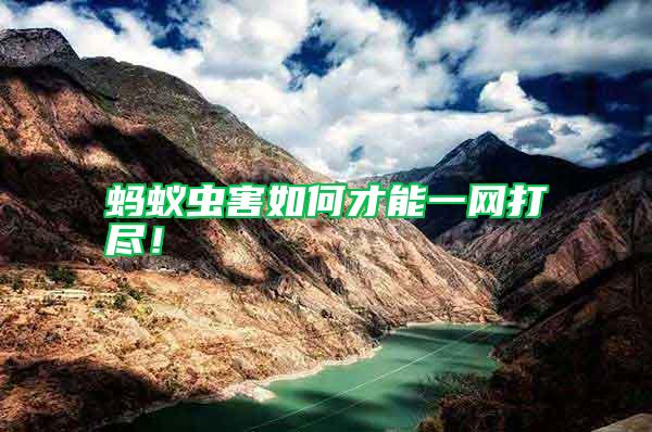 螞蟻蟲害如何才能一網(wǎng)打盡！