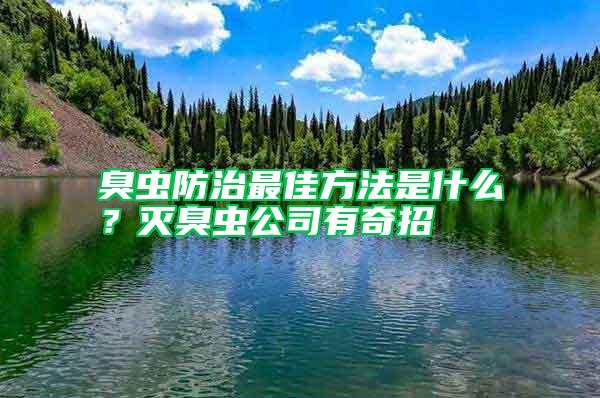 臭蟲(chóng)防治最佳方法是什么?滅臭蟲(chóng)公司有奇招