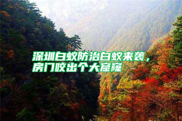 深圳白蟻防治白蟻來襲，房門咬出個大窟窿