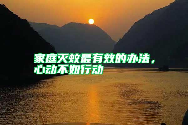 家庭滅蚊最有效的辦法，心動不如行動