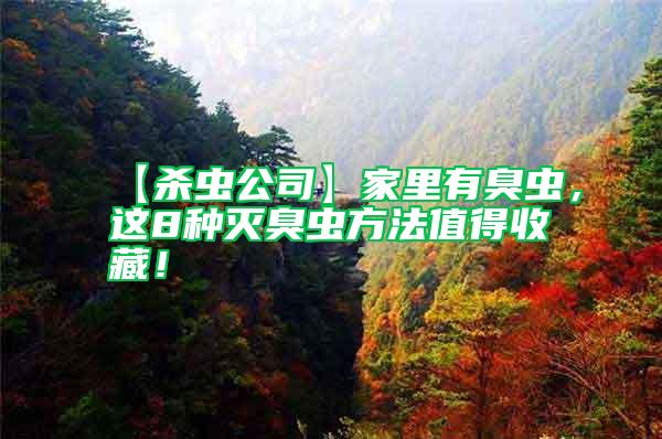 【殺蟲公司】家里有臭蟲，這8種滅臭蟲方法值得收藏！