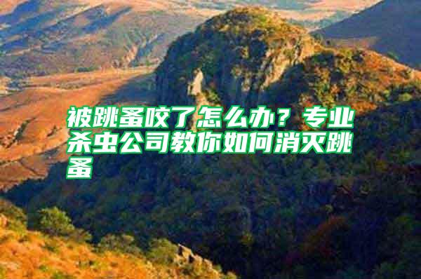 被跳蚤咬了怎么辦?專業(yè)殺蟲公司教你如何消滅跳蚤