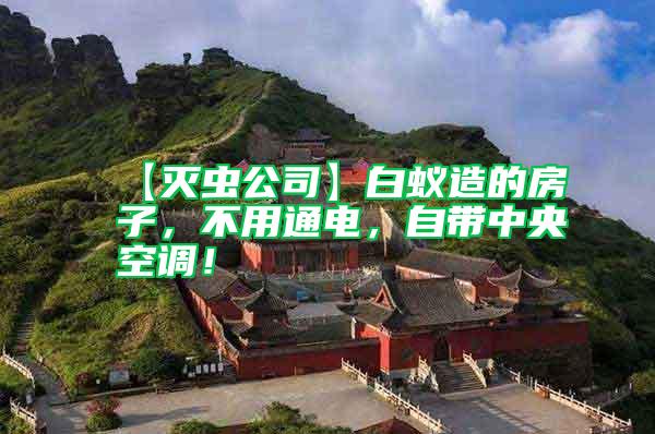 【滅蟲(chóng)公司】白蟻造的房子，不用通電，自帶中央空調(diào)！