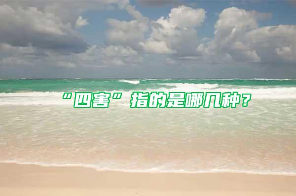 “四害”指的是哪幾種?