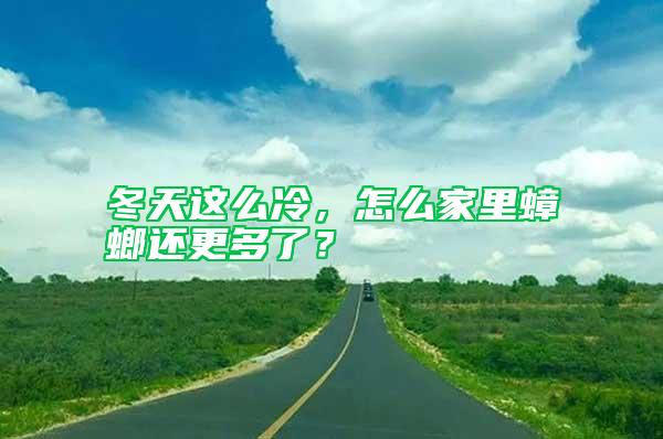 冬天這么冷，怎么家里蟑螂還更多了？