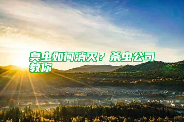 臭蟲如何消滅？殺蟲公司教你