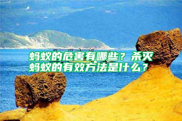 螞蟻的危害有哪些？殺滅螞蟻的有效方法是什么？