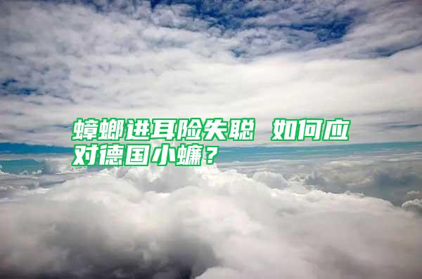 蟑螂進(jìn)耳險(xiǎn)失聰 如何應(yīng)對(duì)德國(guó)小蠊？