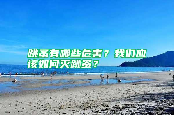 跳蚤有哪些危害？我們應(yīng)該如何滅跳蚤？