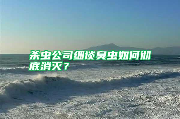 殺蟲公司細(xì)談臭蟲如何徹底消滅？