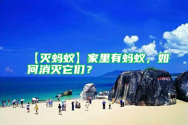 【滅螞蟻】家里有螞蟻，如何消滅它們？