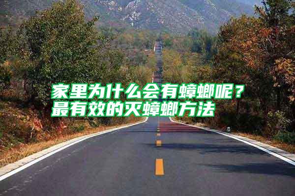 家里為什么會有蟑螂呢？最有效的滅蟑螂方法