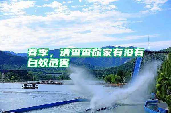 春季,請查查你家有沒有白蟻危害