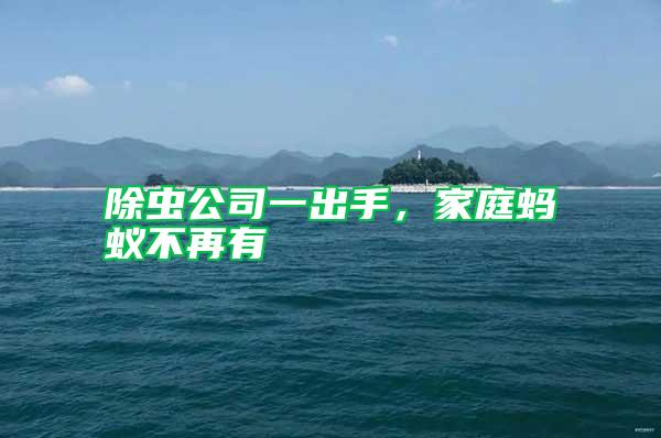除蟲公司一出手，家庭螞蟻不再有