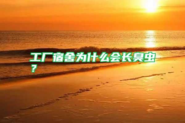 工廠宿舍為什么會長臭蟲?