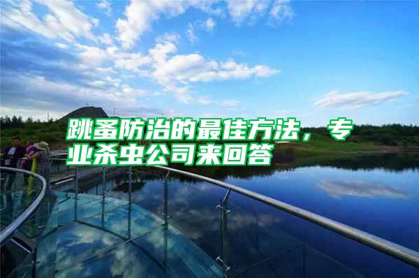 跳蚤防治的最佳方法,專業(yè)殺蟲(chóng)公司來(lái)回答