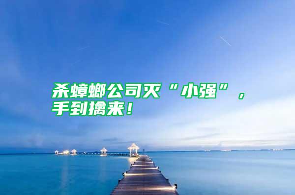 殺蟑螂公司滅“小強(qiáng)”，手到擒來！