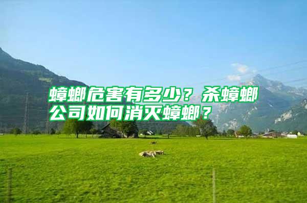 蟑螂危害有多少？殺蟑螂公司如何消滅蟑螂？