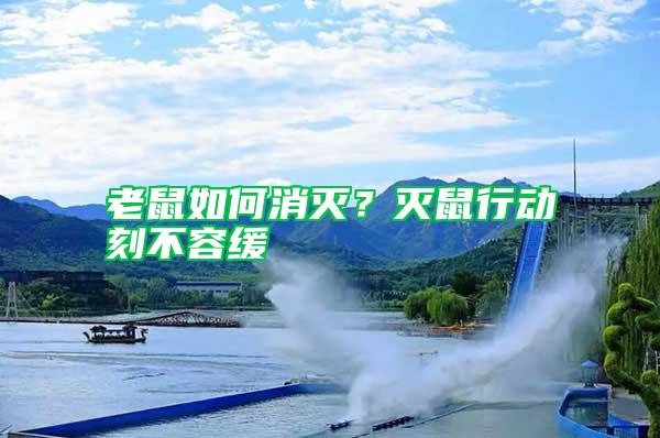 老鼠如何消滅？滅鼠行動刻不容緩