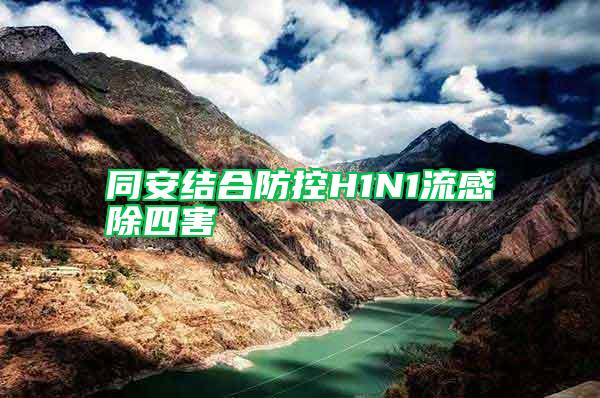 同安結(jié)合防控H1N1流感除四害