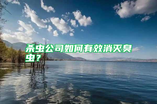 殺蟲公司如何有效消滅臭蟲？