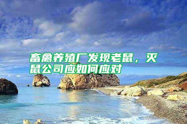 畜禽養(yǎng)殖廠發(fā)現(xiàn)老鼠，滅鼠公司應(yīng)如何應(yīng)對