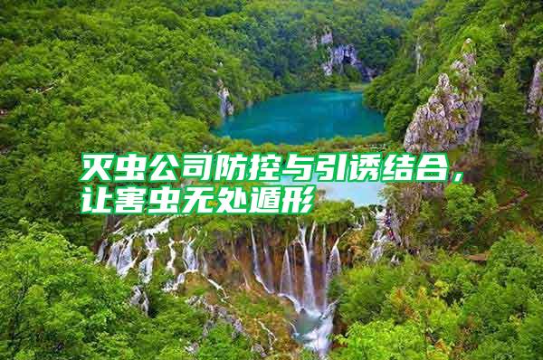 滅蟲公司防控與引誘結(jié)合，讓害蟲無處遁形