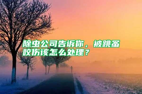 除蟲公司告訴你，被跳蚤咬傷該怎么處理？