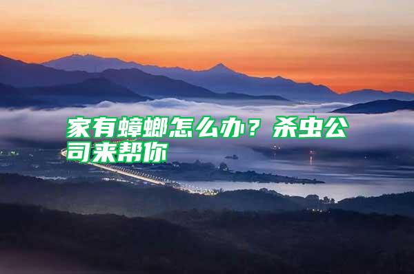 家有蟑螂怎么辦？殺蟲公司來幫你