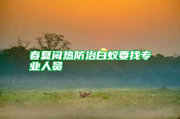 春夏悶熱防治白蟻要找專業(yè)人員