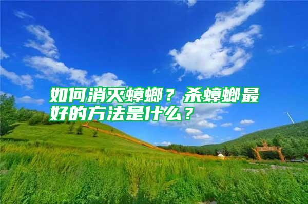 如何消滅蟑螂？殺蟑螂最好的方法是什么？