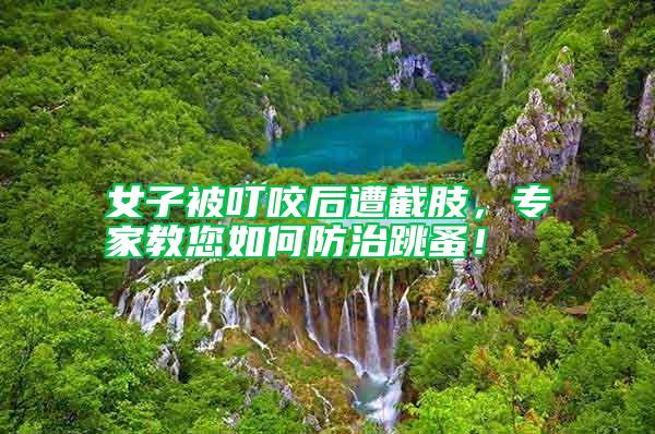 女子被叮咬后遭截肢，專家教您如何防治跳蚤！