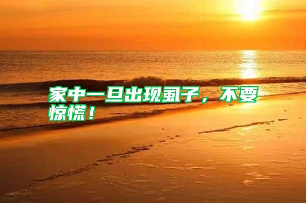 家中一旦出現(xiàn)虱子，不要驚慌！