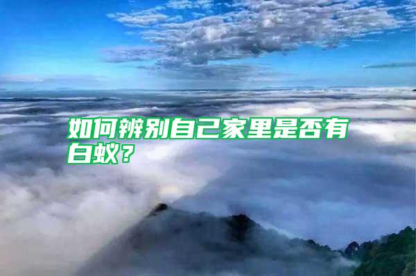 如何辨別自己家里是否有白蟻?