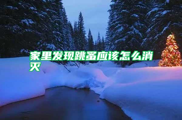 家里發(fā)現(xiàn)跳蚤應該怎么消滅