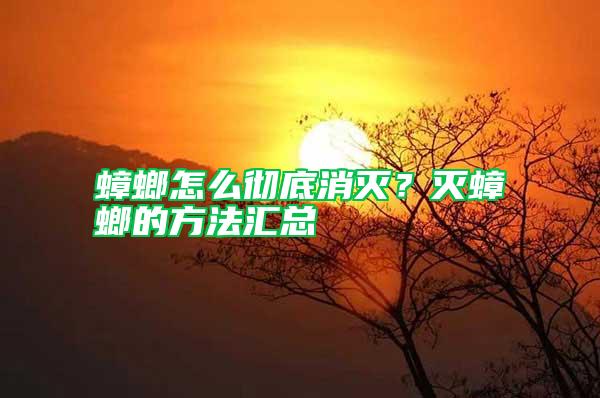 蟑螂怎么徹底消滅？滅蟑螂的方法匯總