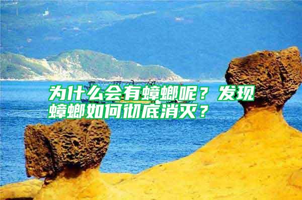 為什么會有蟑螂呢？發(fā)現(xiàn)蟑螂如何徹底消滅？