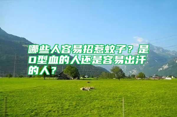 哪些人容易招惹蚊子？是O型血的人還是容易出汗的人？