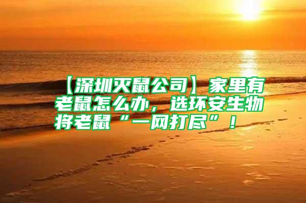 【深圳滅鼠公司】家里有老鼠怎么辦，選環(huán)安生物將老鼠“一網(wǎng)打盡”！
