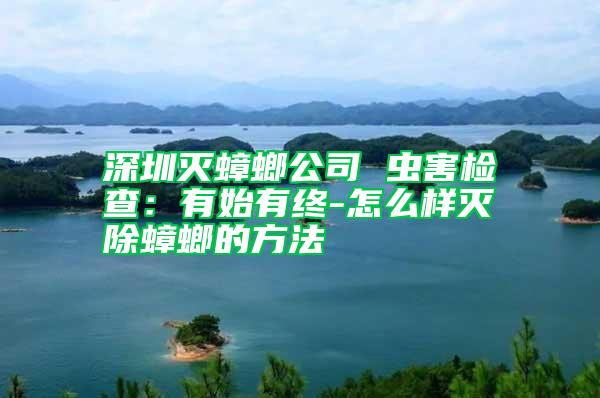 深圳滅蟑螂公司 蟲害檢查:有始有終-怎么樣滅除蟑螂的方法