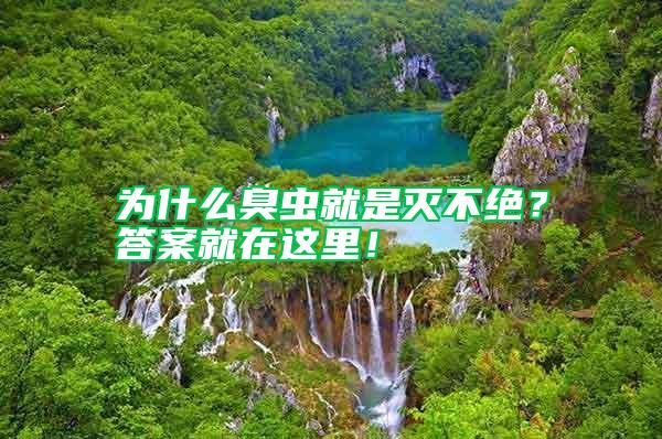 為什么臭蟲(chóng)就是滅不絕？答案就在這里！