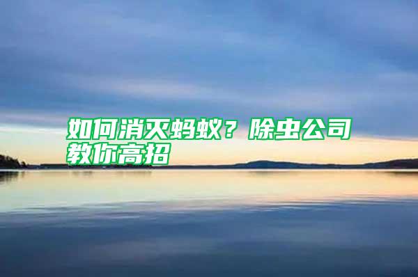 如何消滅螞蟻？除蟲(chóng)公司教你高招