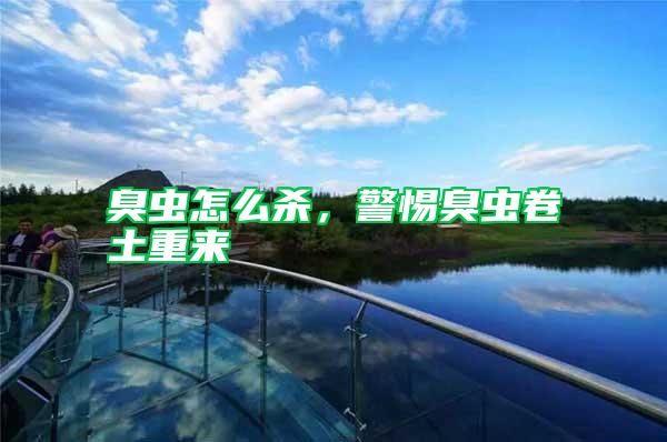 臭蟲怎么殺，警惕臭蟲卷土重來