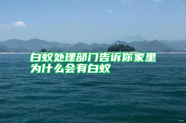 白蟻處理部門告訴你家里為什么會(huì)有白蟻