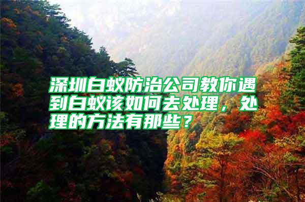 深圳白蟻防治公司教你遇到白蟻該如何去處理，處理的方法有那些？